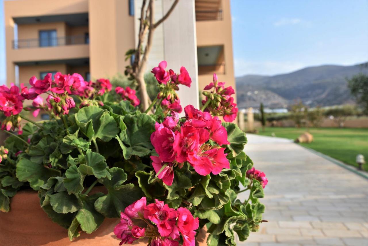 Golden Bay Hotel Apartments Малиа Экстерьер фото